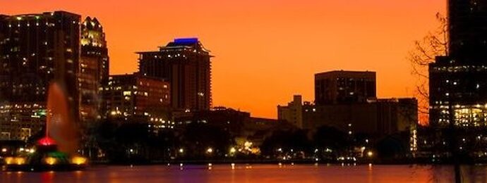 Ron Seggi Show Background